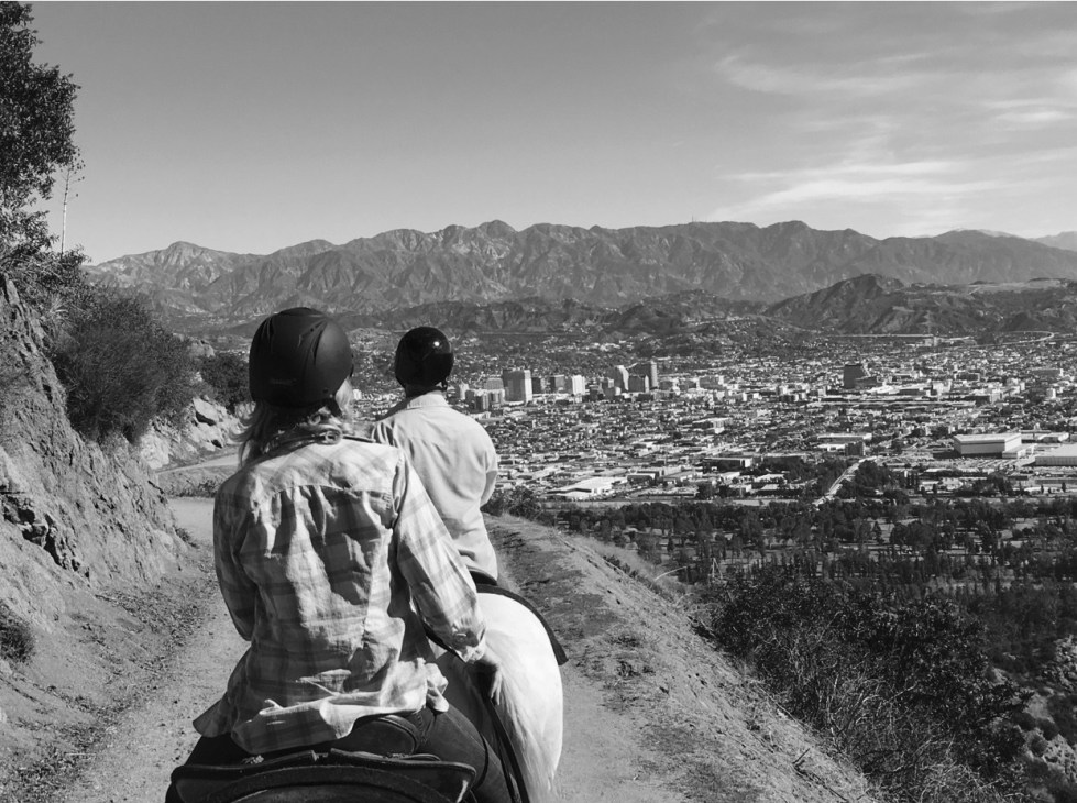 Horses-in-Beautiful-Hollywood-2